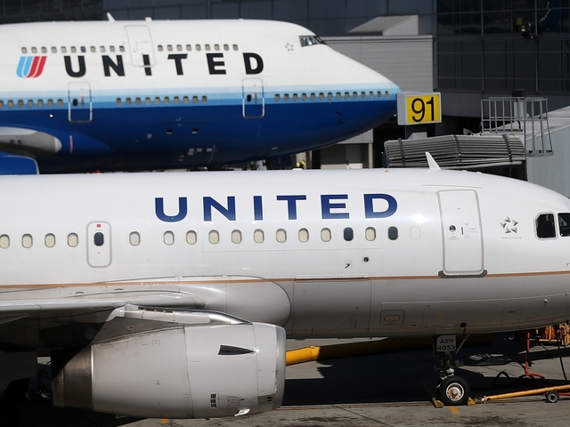 United Airlines will no longer allow pets in cargo holds