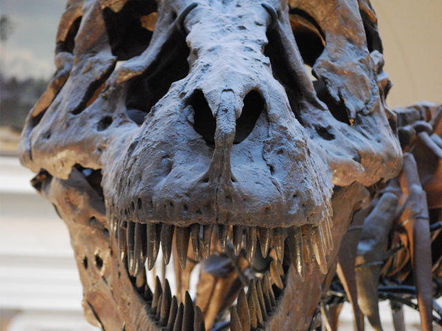 'Jurassic Park' returning to theaters for its 25th anniversary